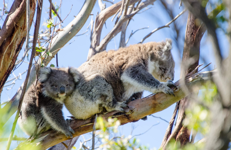 202601261437-5565159461.png 屏幕截图 2026-01-26 143531.png