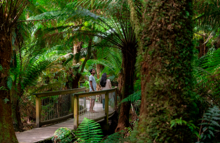 202601261437-8478555017.png 屏幕截图 2026-01-26 143515.png