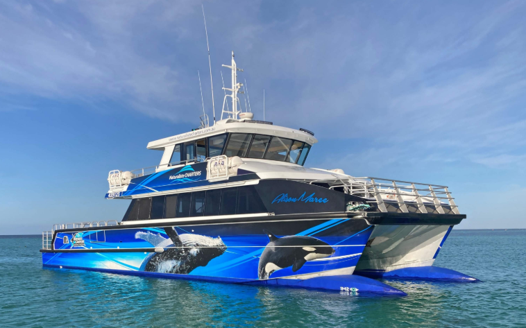 202601261446-5553042103.png image.png