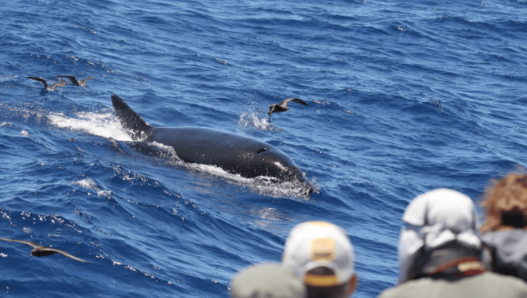 202601261446-9163272416.png image.png