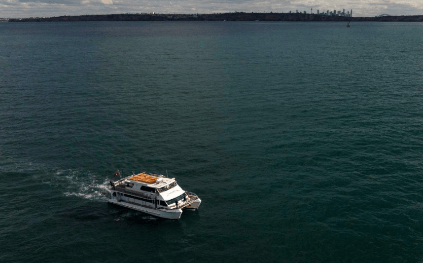 202601261447-7020004849.png image.png