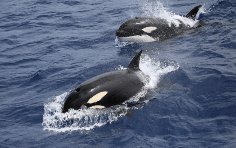 202601261447-8761415163.png image.png