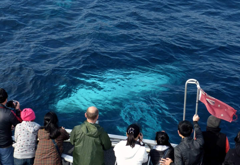 202601261458-9226703135.png image.png