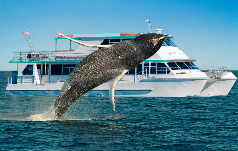 202601261459-8623742179.png image.png