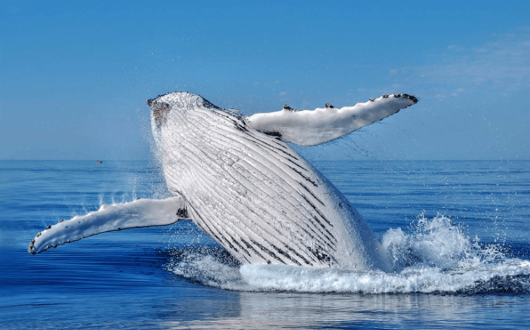 202601261501-1127641914.png image.png