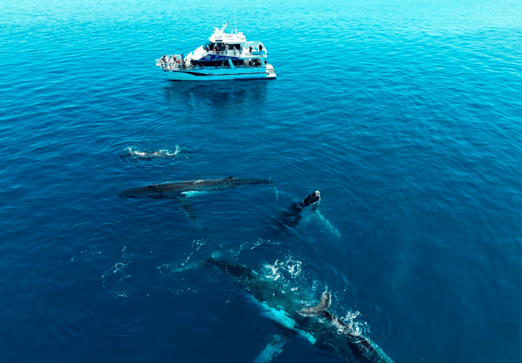 202601261501-2731971627.png image.png