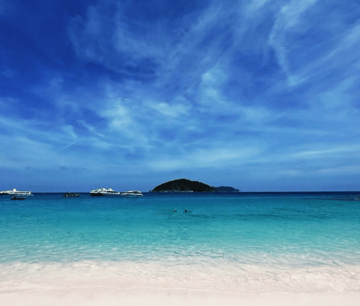 202601261531-5746651457.png image.png