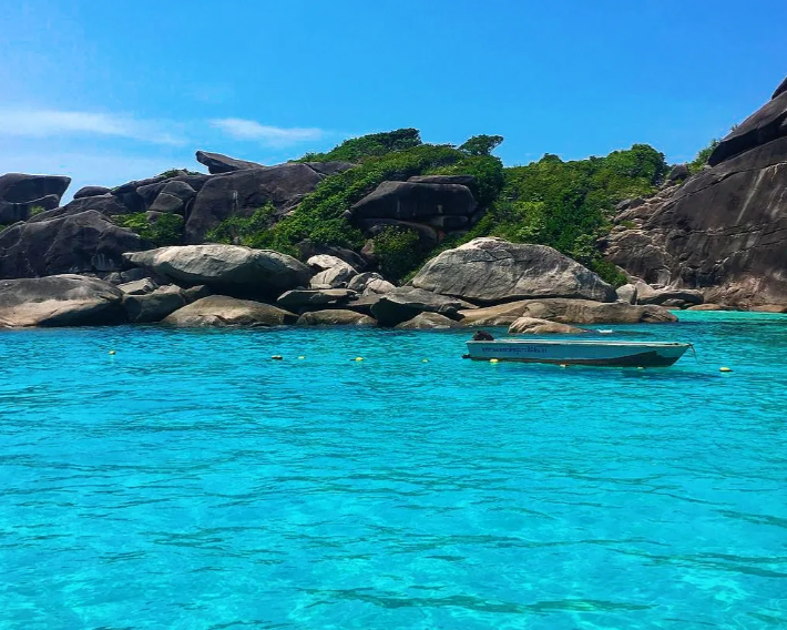 202601261532-2725262959.png image.png