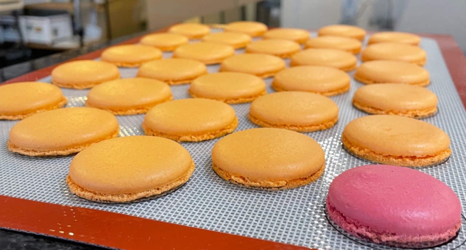 202601261603-2712897055.jpg undefined (6).jpg