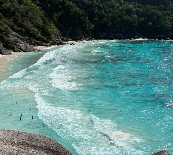 屏幕截图 2026-01-26 161709.png