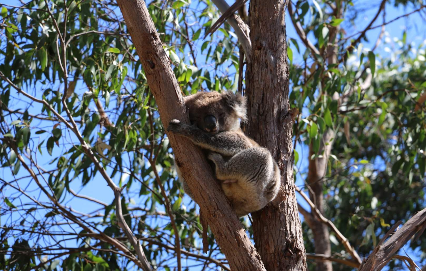 202601270954-1262576947.png image.png