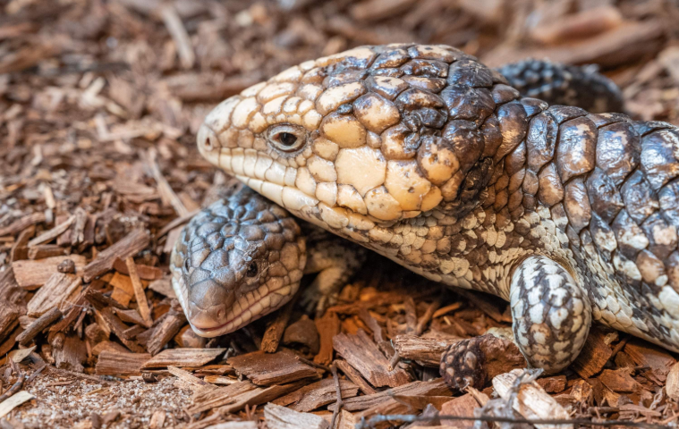 202601271003-7165213911.png image.png