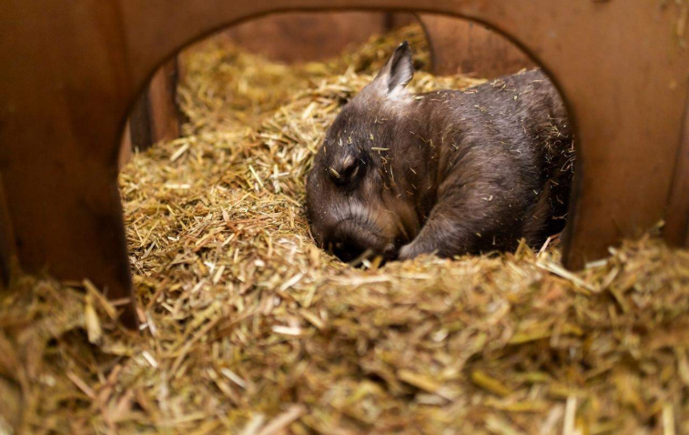 202601271003-8193360118.png image.png