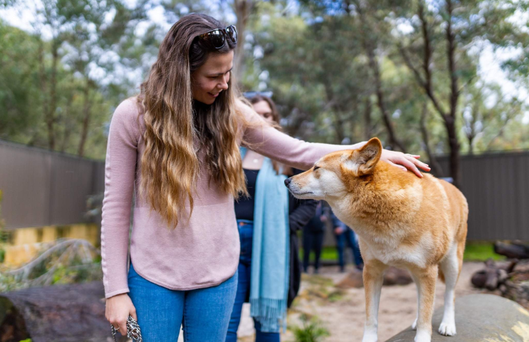 202601271003-9195877728.png image.png