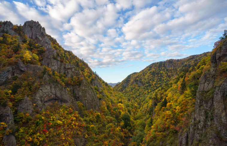 202601271008-5820155040.png image.png