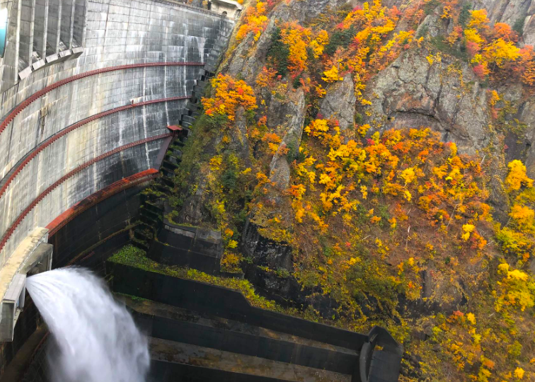 202601271010-4767010288.png image.png