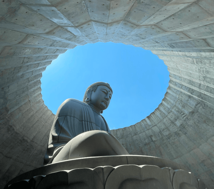 202601271010-9652543510.png image.png