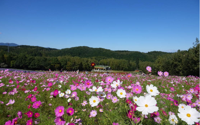 202601271011-3018103566.png image.png