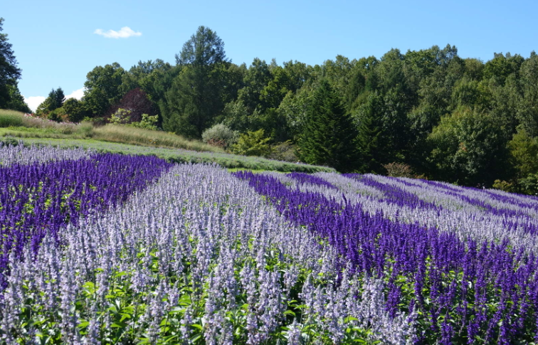 202601271011-6810359853.png image.png