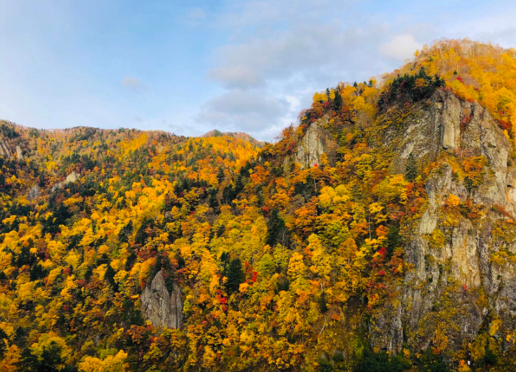 202601271012-1535081623.png image.png