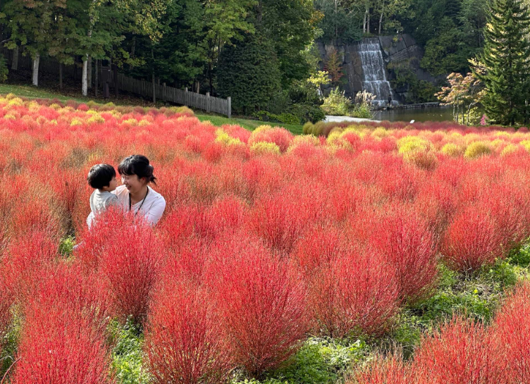 202601271012-8194543805.png image.png