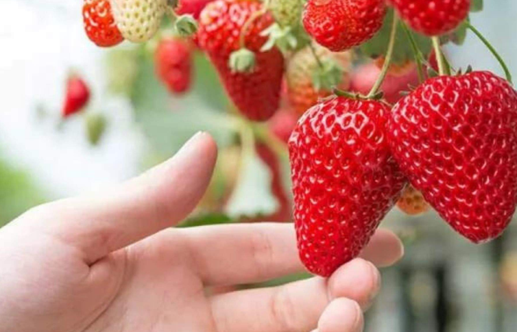 202601271023-3547043204.png image.png