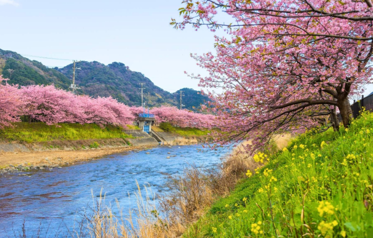 202601271024-6884954712.png image.png