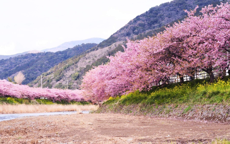 202601271024-7498487387.png image.png