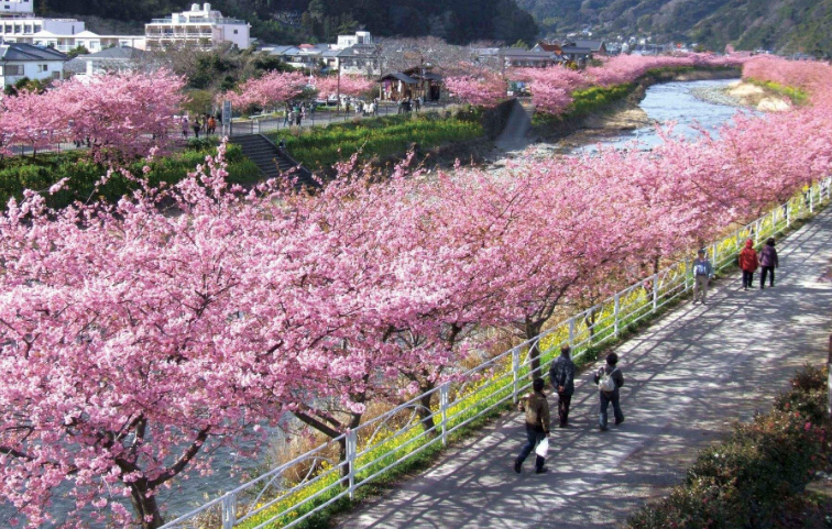 202601271025-9582056827.png image.png