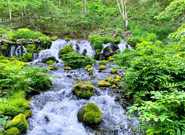 202601271035-6764831525.png image.png