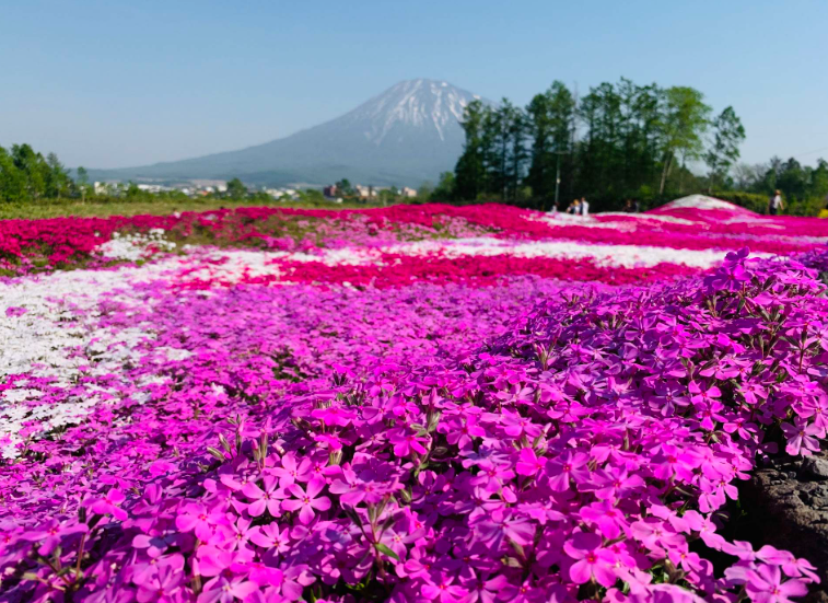 202601271035-6789251300.png image.png