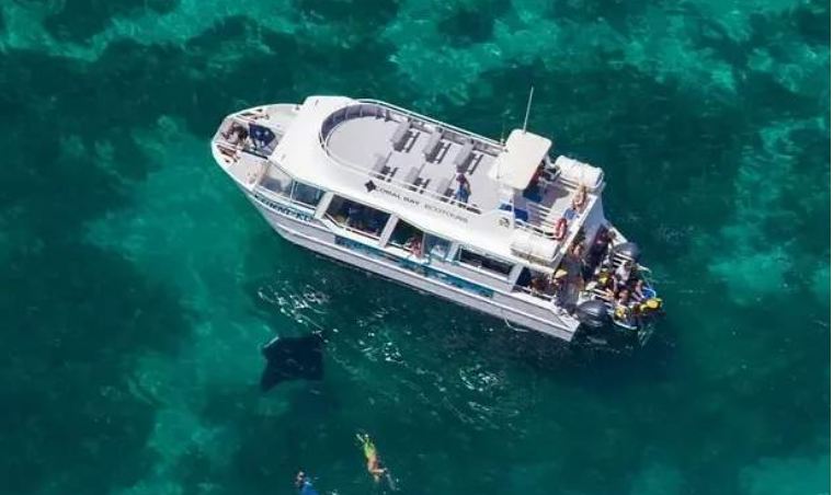 202601271035-8609014854.png image.png