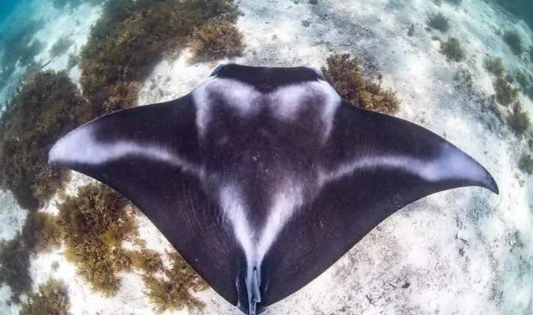 202601271035-9055116777.png image.png