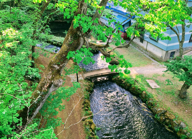 202601271036-1914357252.png image.png