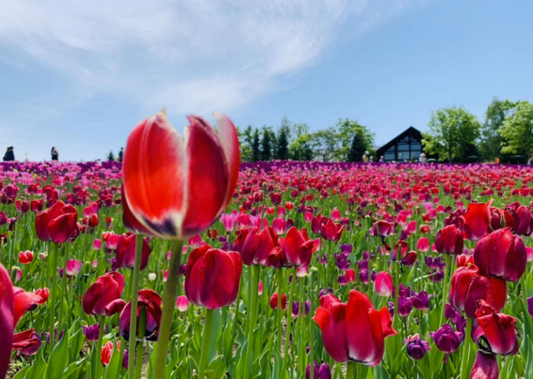 202601271038-9299295639.png image.png