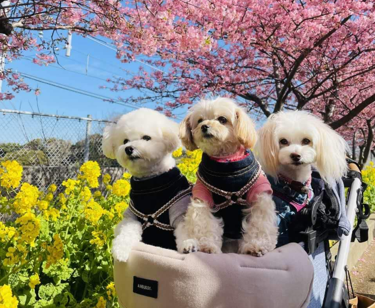 202601271129-6500550734.png image.png