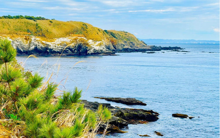 202601271130-2344690619.png image.png