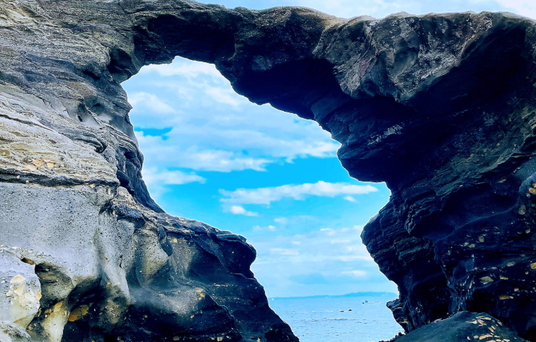 202601271130-4768778763.png image.png