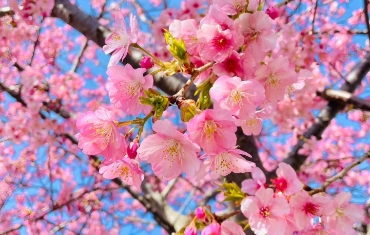 202601271130-5242165117.png image.png