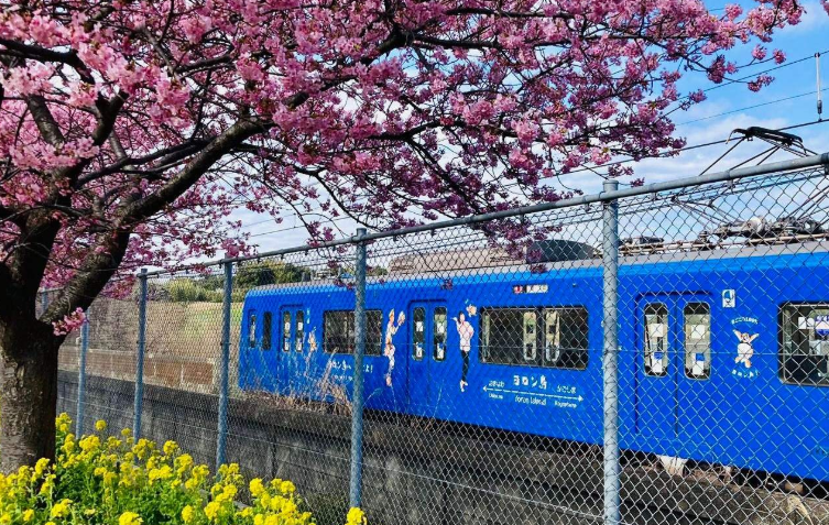 202601271130-5368759079.png image.png