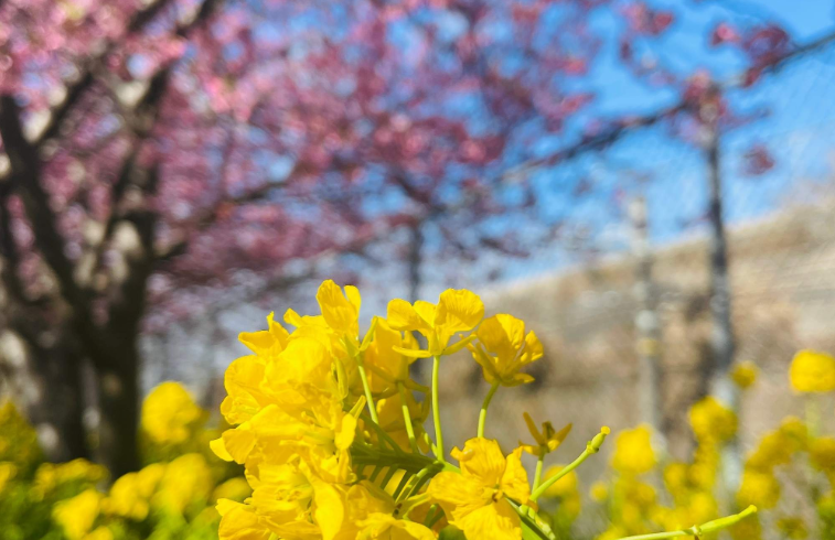 202601271130-6742023546.png image.png