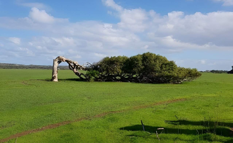 202601271131-2497743032.png image.png