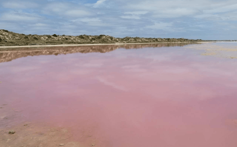 202601271131-4519640062.png image.png