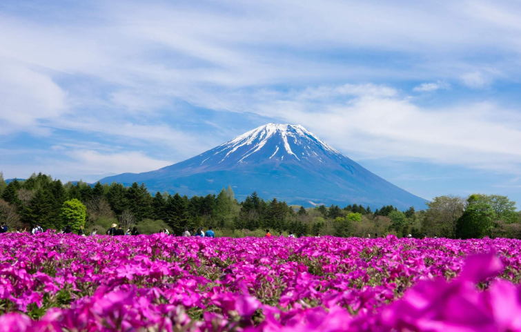 202601271144-1406196075.png image.png