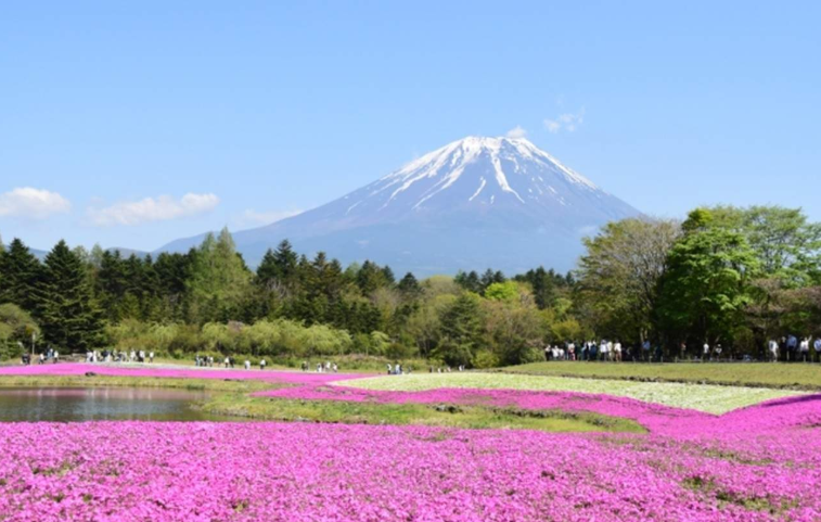 202601271145-3808038839.png image.png