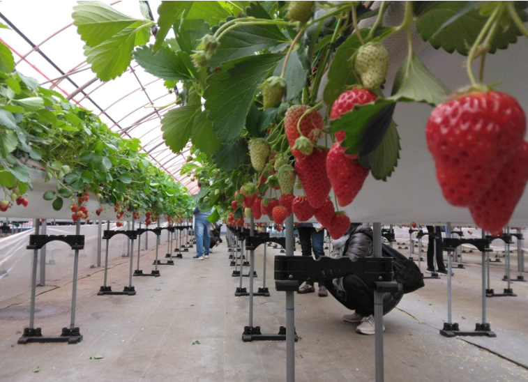 202601271145-7178919284.png image.png