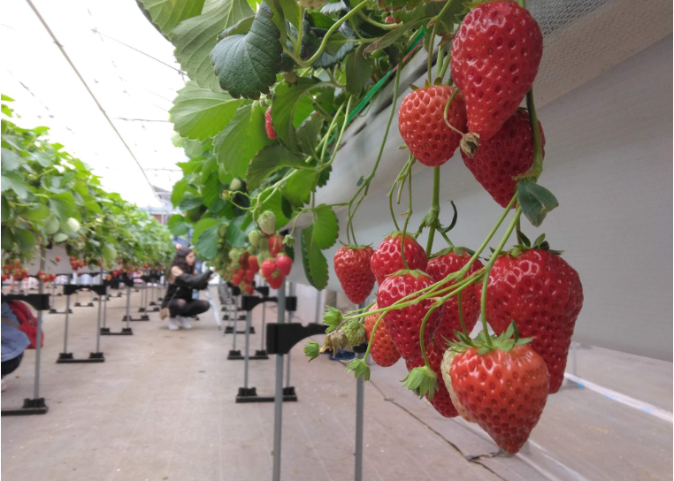 202601271145-8702044610.png image.png