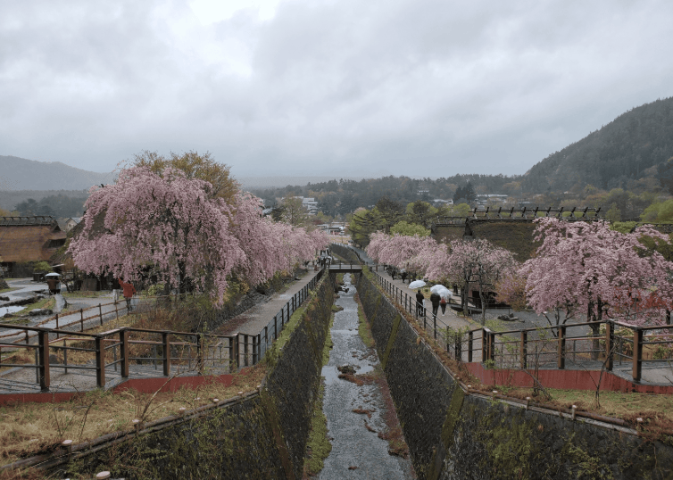 202601271146-4812225773.png image.png