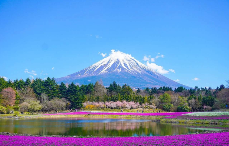 202601271146-5034190174.png image.png