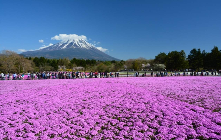 202601271147-6305193823.png image.png